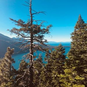 Meet your Posher, Claire